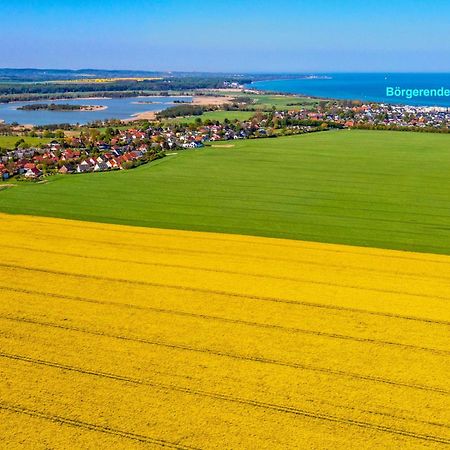 Villa Deichgraf 12 "Meerblick" Börgerende-Rethwisch المظهر الخارجي الصورة