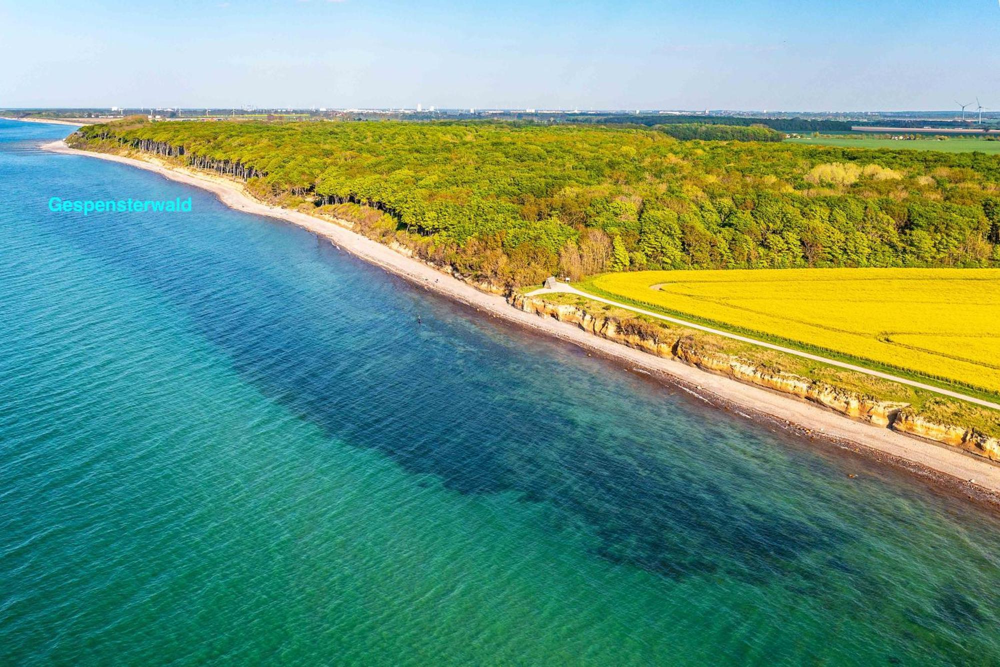 Villa Deichgraf 12 "Meerblick" Börgerende-Rethwisch المظهر الخارجي الصورة
